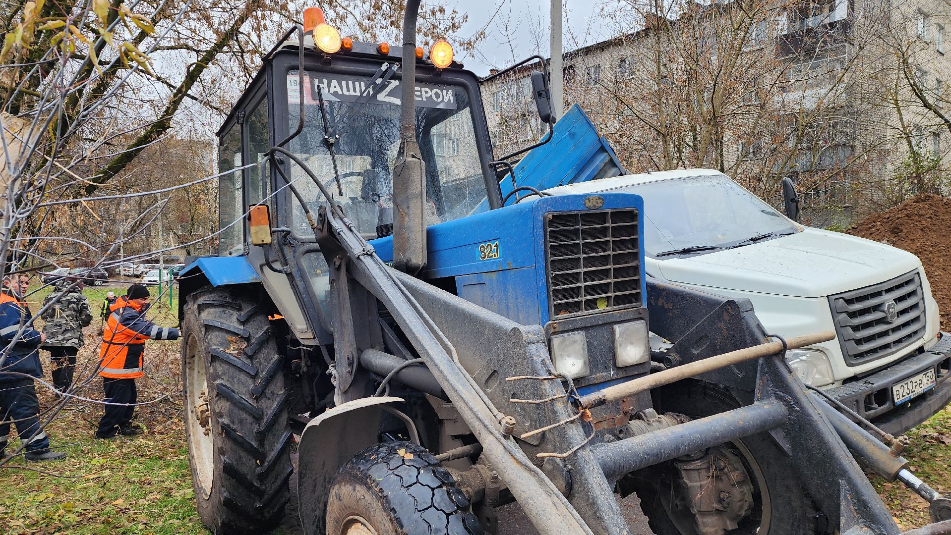 ветки, истра, благоустройство, вертикалки,