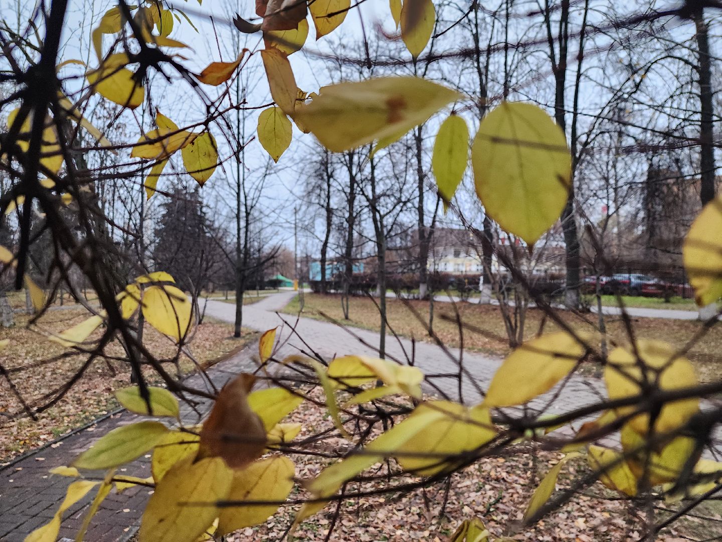 вертикалки, королёв,