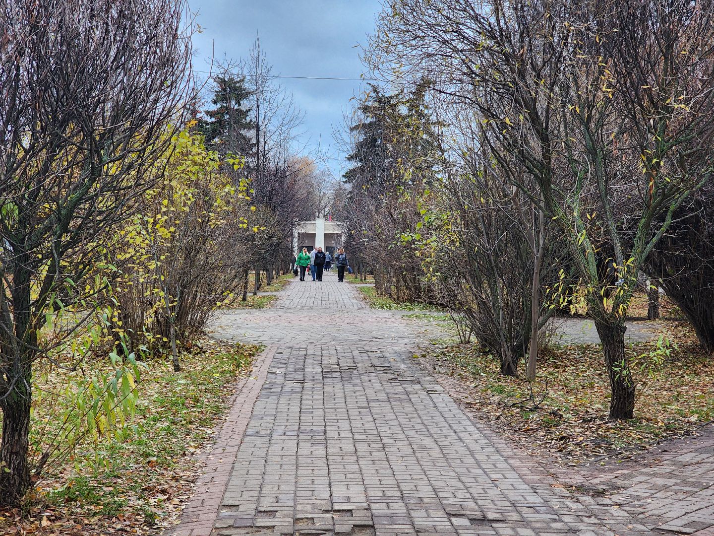 вертикалки, королёв,