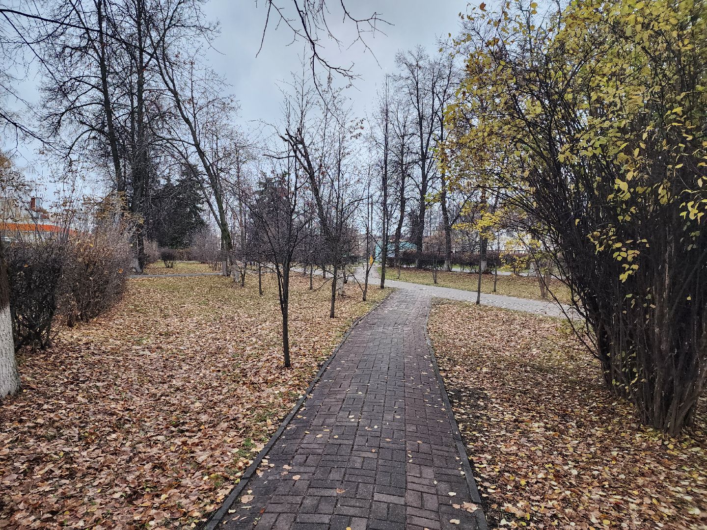 вертикалки, королёв,