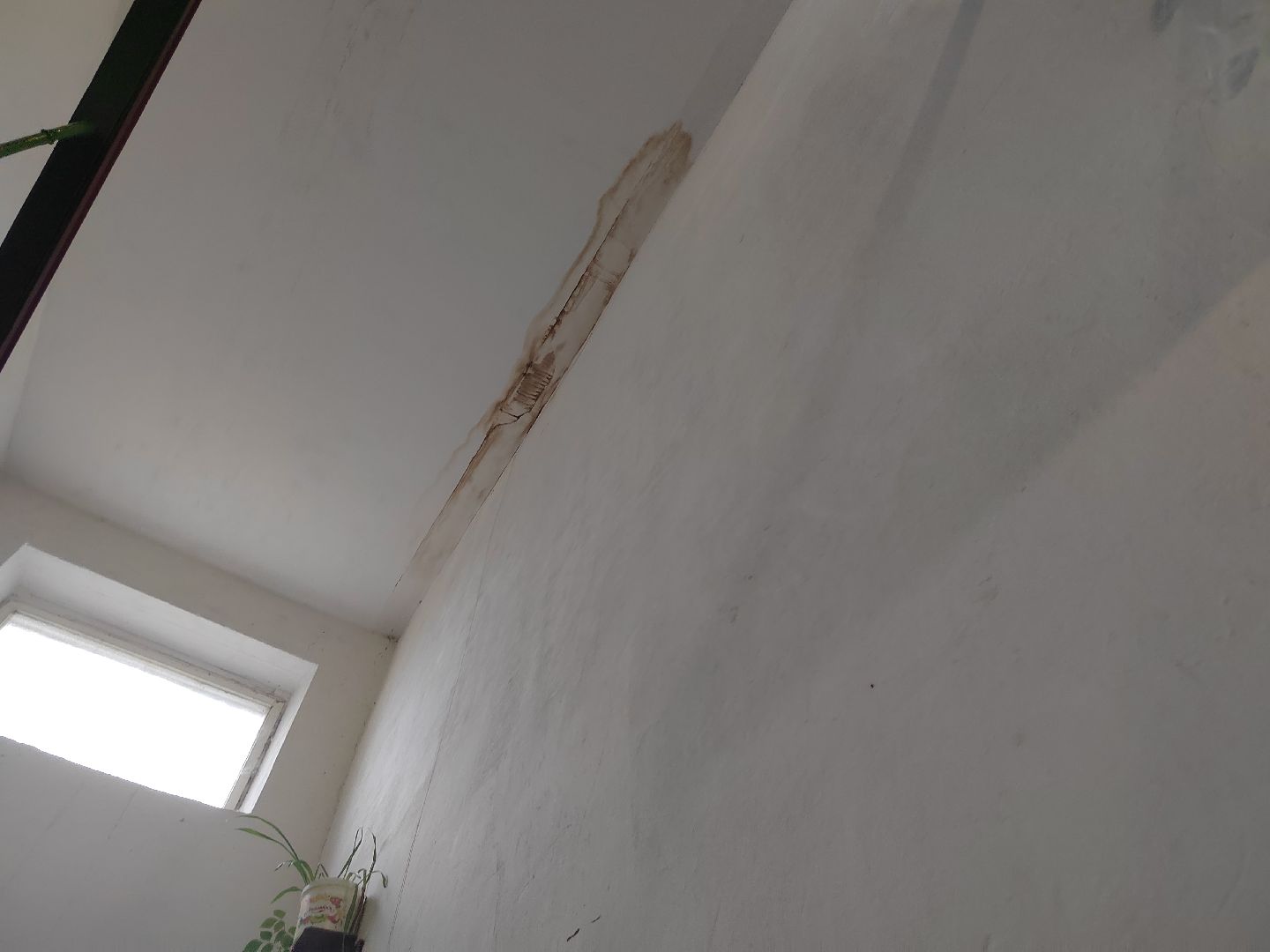 волоколамск, выездная администрация, вопрос ответ,