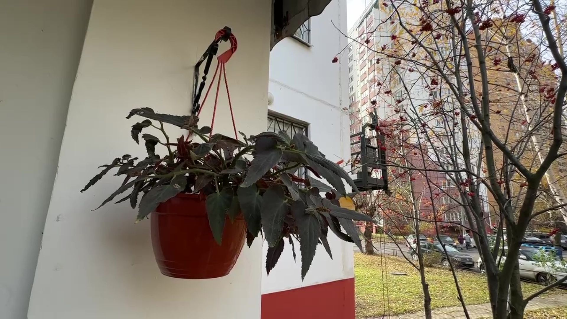 Реутов, вертикалки, ЖКХ, ремонт дома, межпанельные швы,