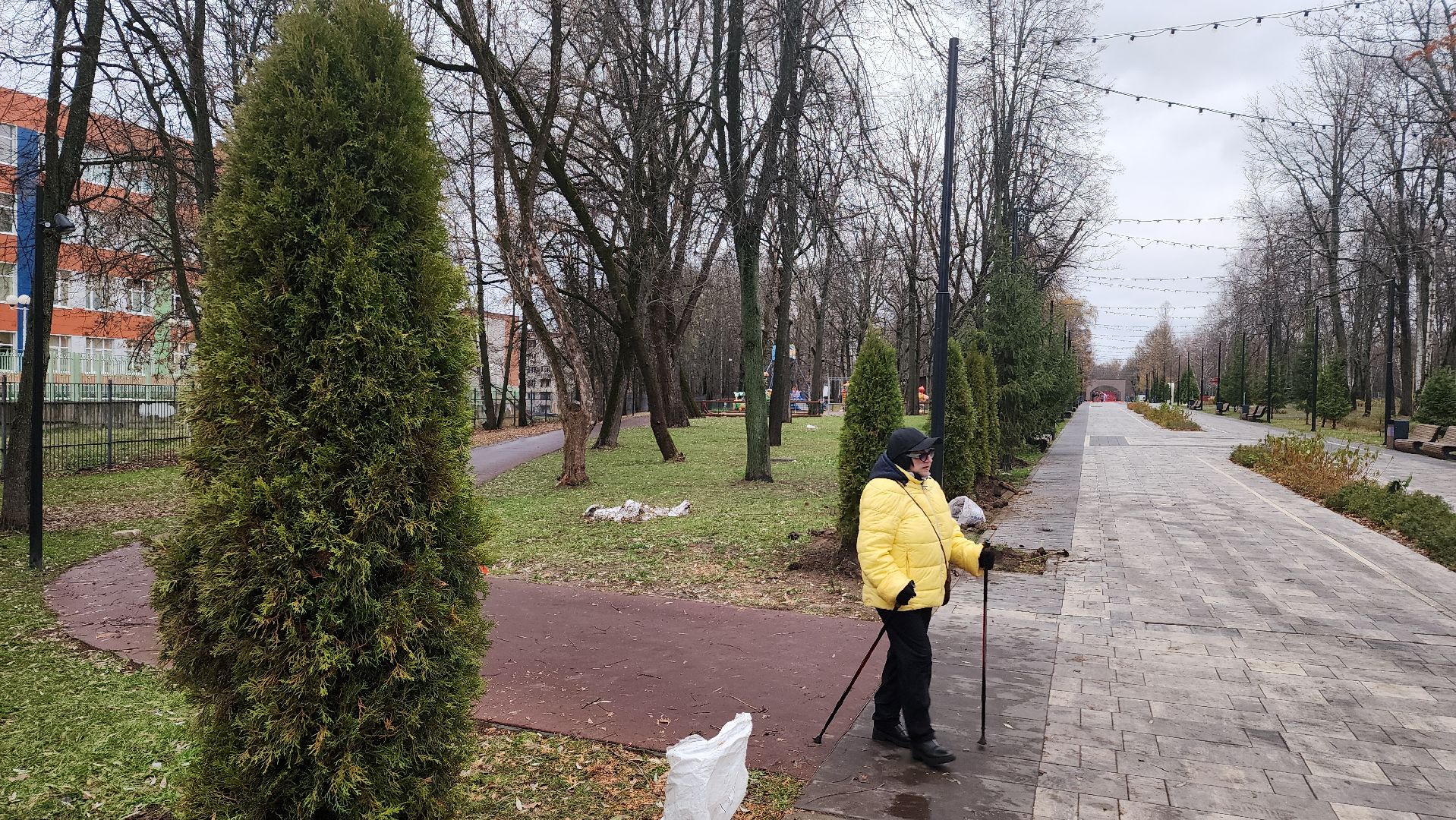 ступино, парк имени островского, озеленение парков, вертикалки,