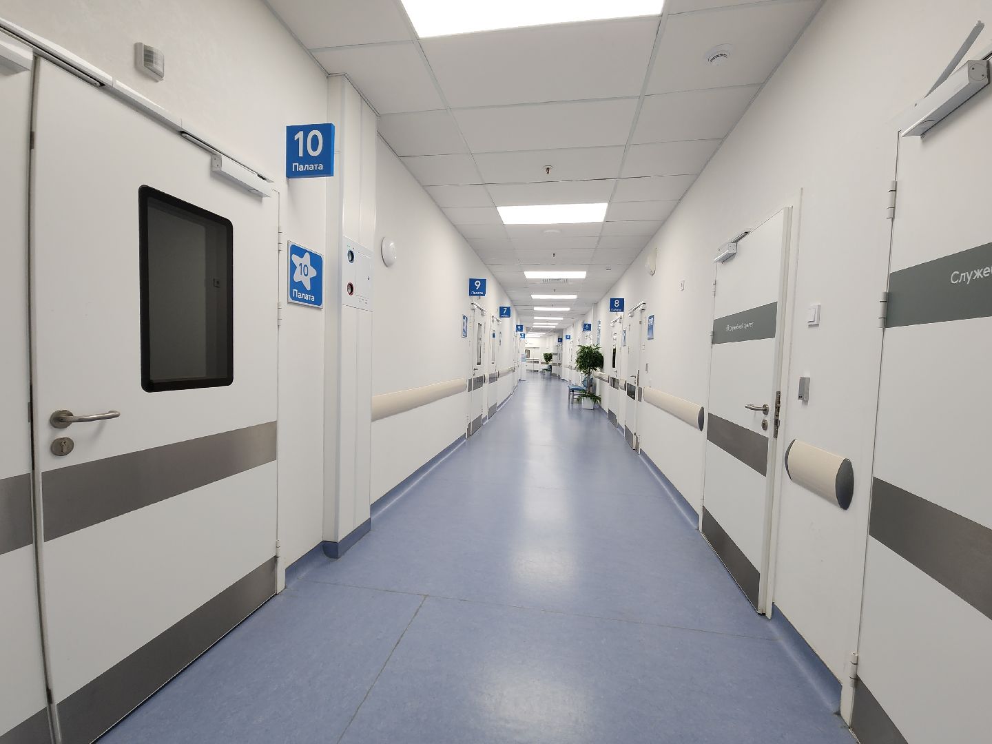 красногорск, дкц имени рошаля, роспись стен,Шилов, Алексей Шилов,