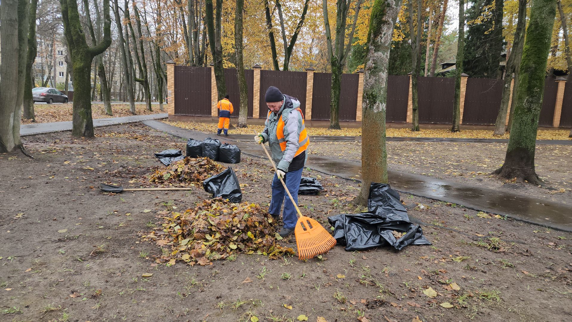 вертикалки, пушкино, благоустройство, листва, уборка дворов осенью, уборка общественных территорий, памятник, сквер,