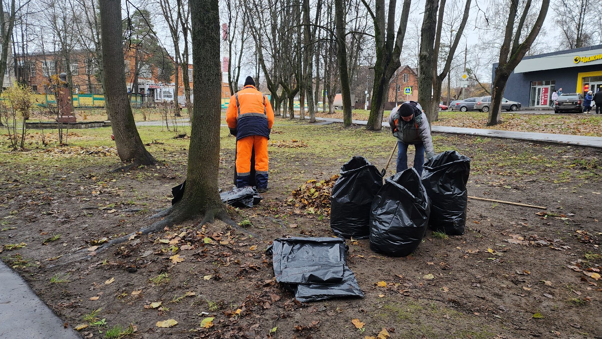 вертикалки, пушкино, благоустройство, листва, уборка дворов осенью, уборка общественных территорий, памятник, сквер,
