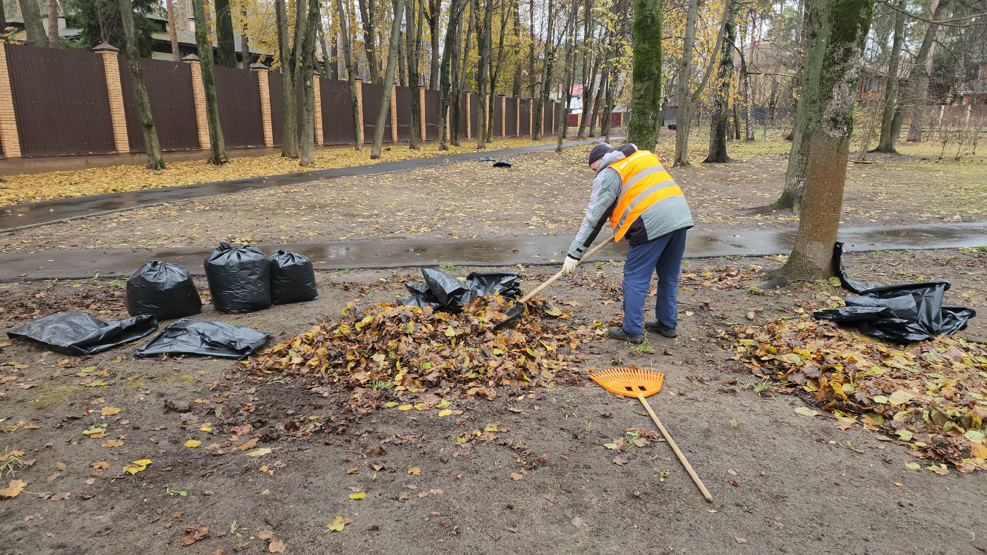 вертикалки, пушкино, благоустройство, листва, уборка дворов осенью, уборка общественных территорий, памятник, сквер,