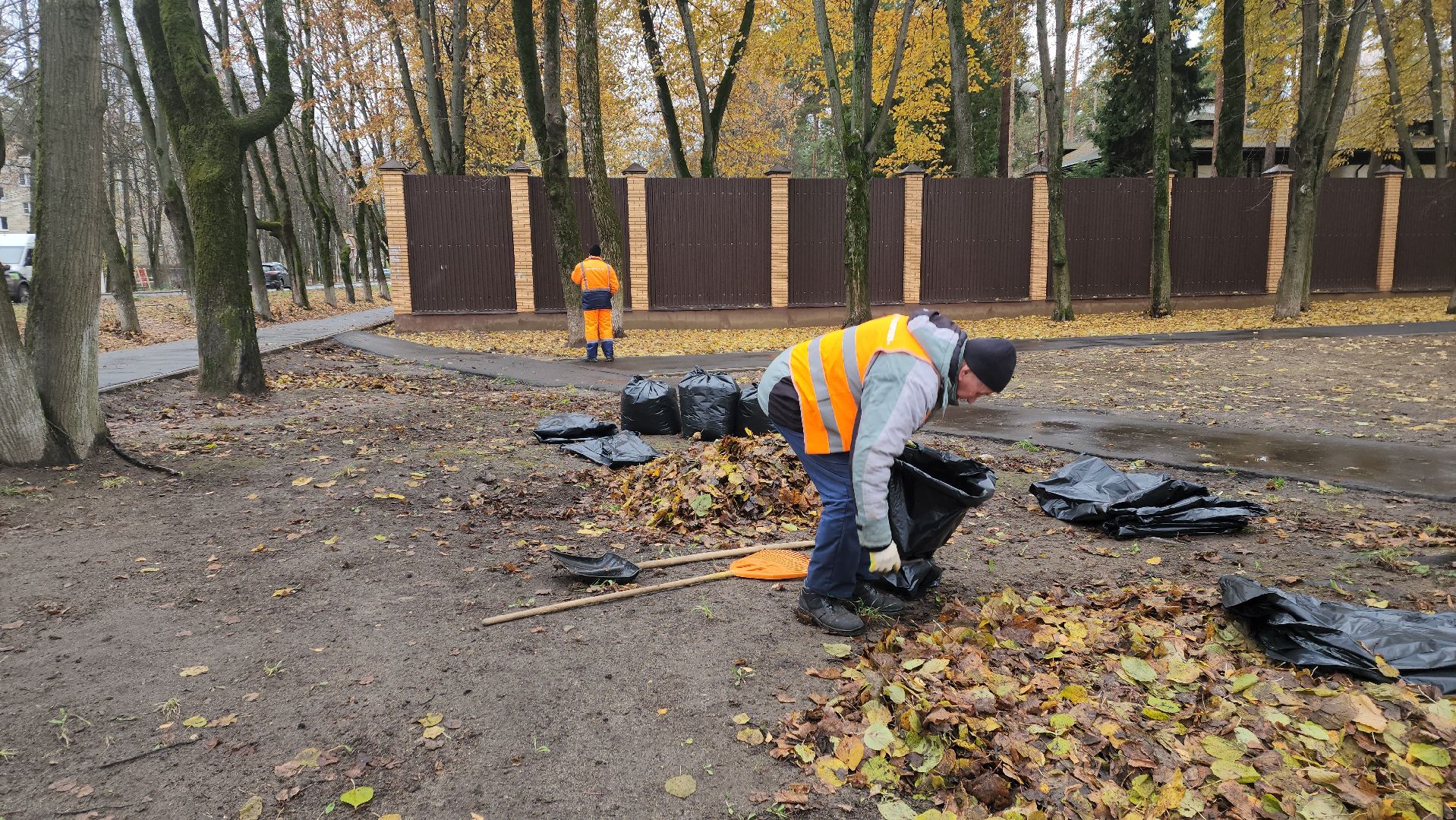 вертикалки, пушкино, благоустройство, листва, уборка дворов осенью, уборка общественных территорий, памятник, сквер,