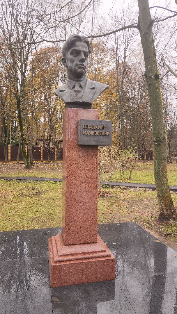 вертикалки, пушкино, благоустройство, листва, уборка дворов осенью, уборка общественных территорий, памятник, сквер,