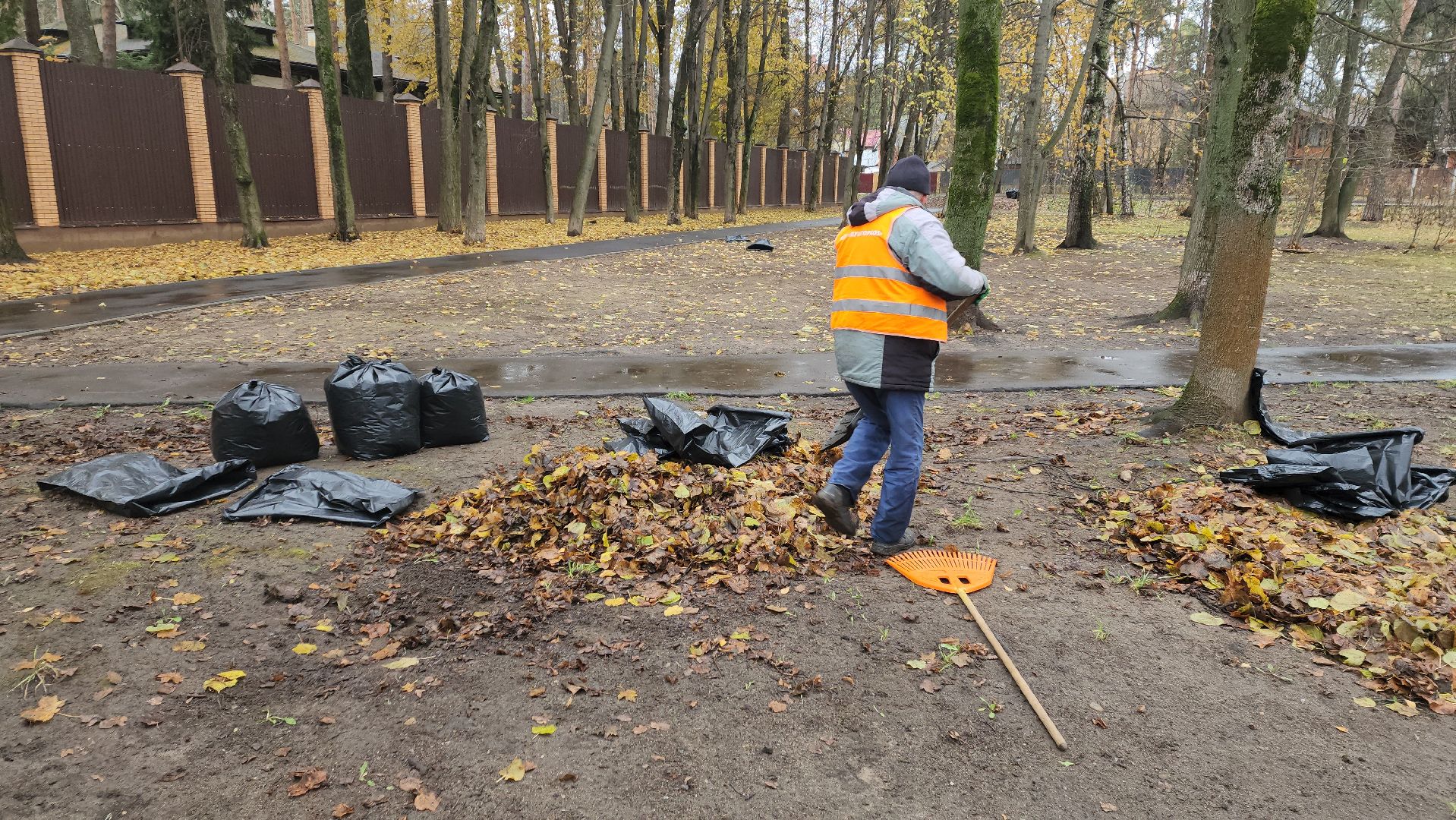 вертикалки, пушкино, благоустройство, листва, уборка дворов осенью, уборка общественных территорий, памятник, сквер,