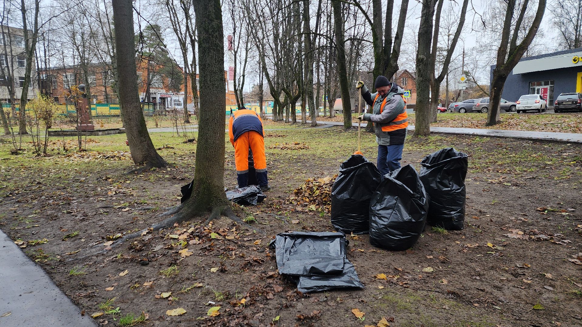 вертикалки, пушкино, благоустройство, листва, уборка дворов осенью, уборка общественных территорий, памятник, сквер,