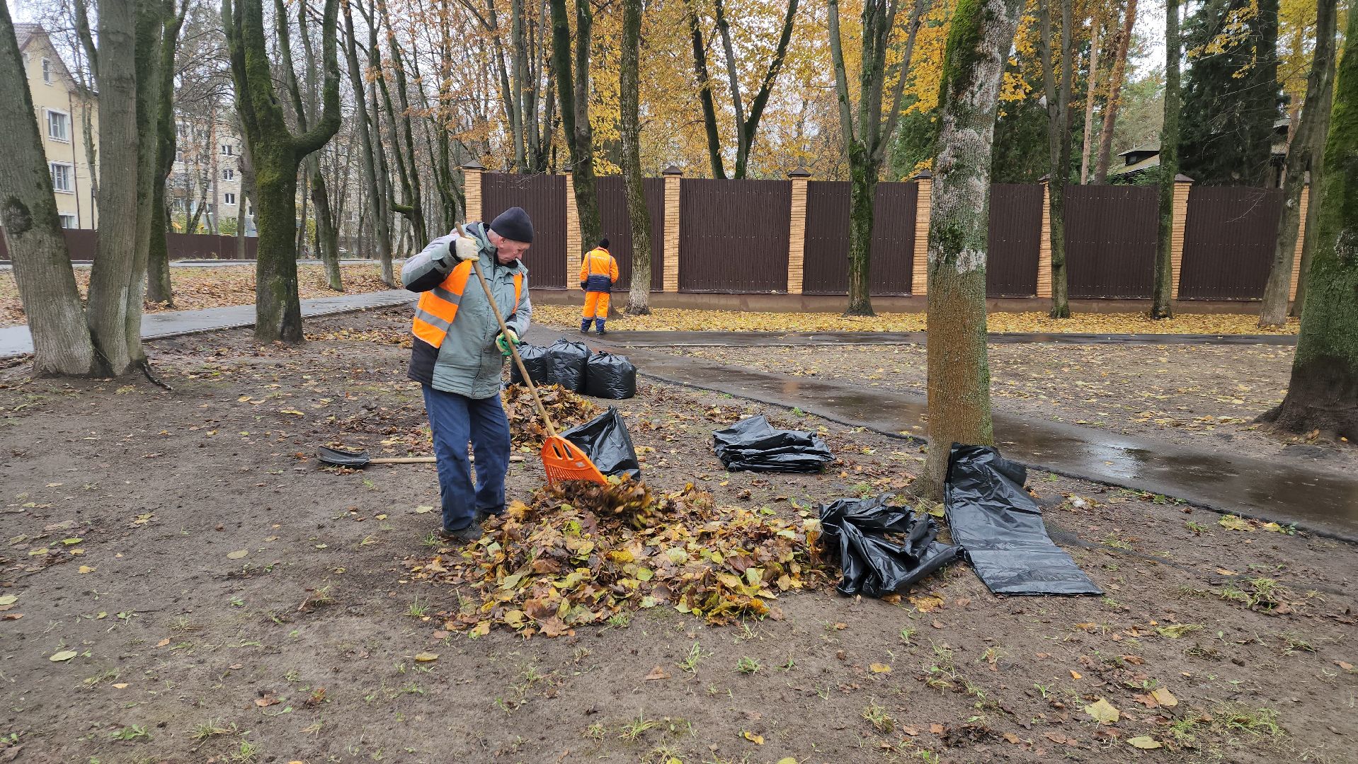 вертикалки, пушкино, благоустройство, листва, уборка дворов осенью, уборка общественных территорий, памятник, сквер,