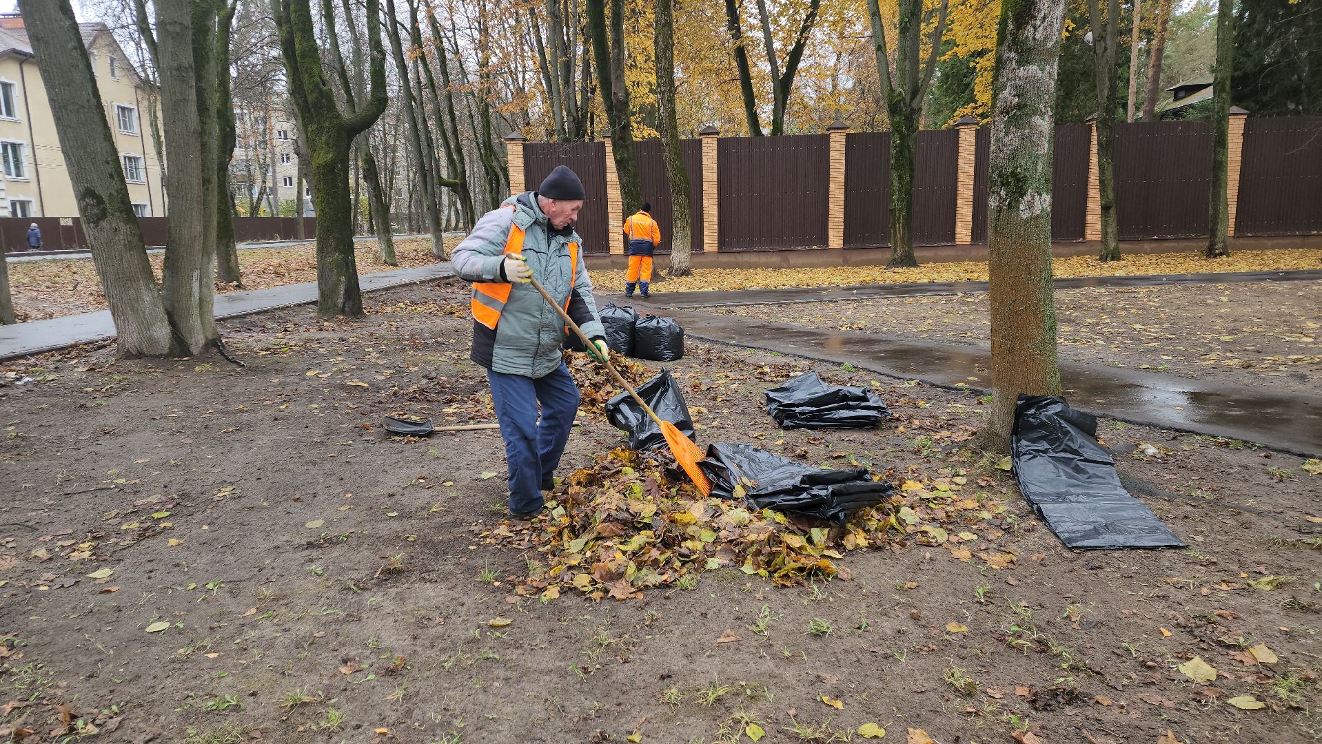 вертикалки, пушкино, благоустройство, листва, уборка дворов осенью, уборка общественных территорий, памятник, сквер,