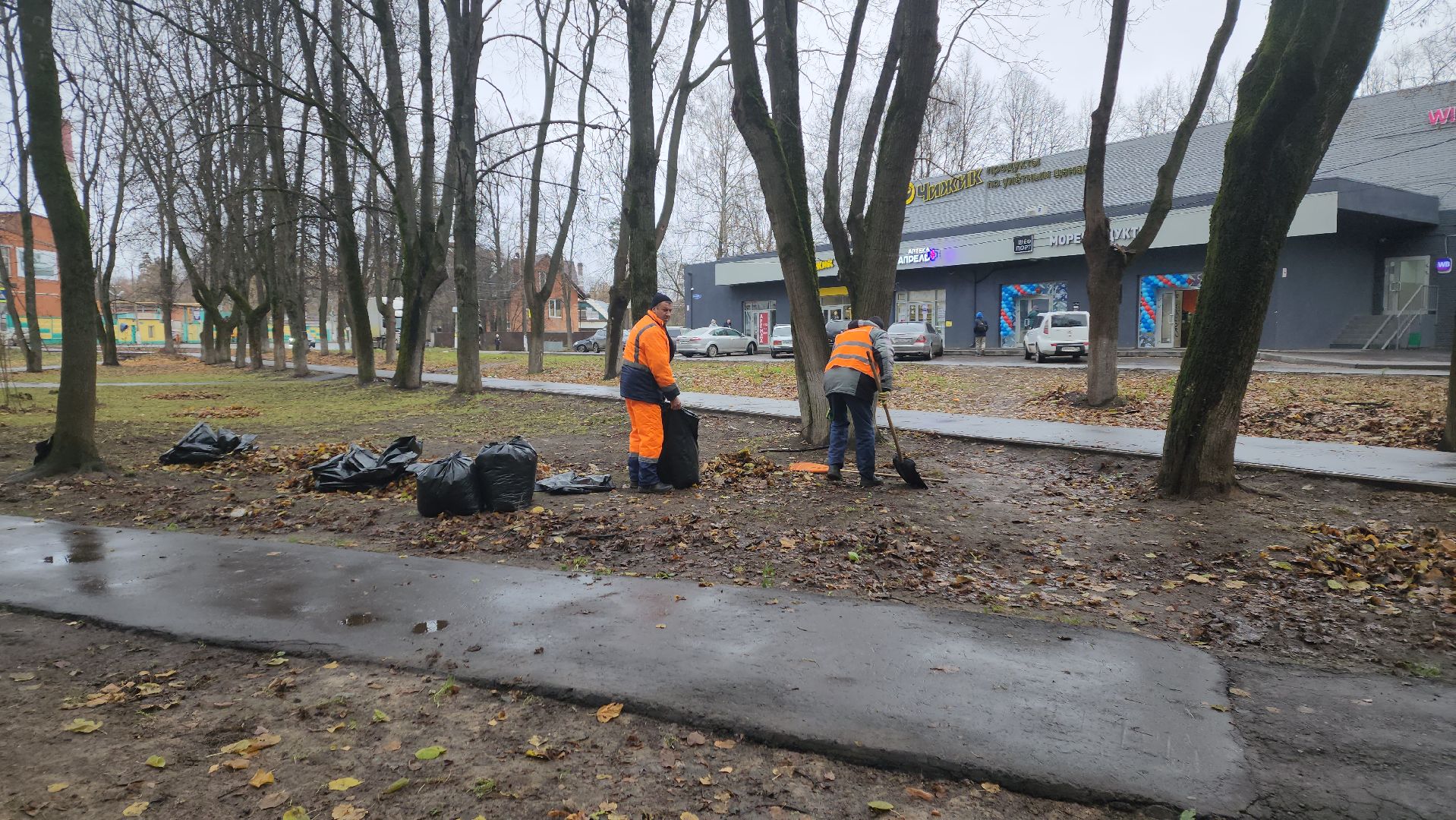 вертикалки, пушкино, благоустройство, листва, уборка дворов осенью, уборка общественных территорий, памятник, сквер,
