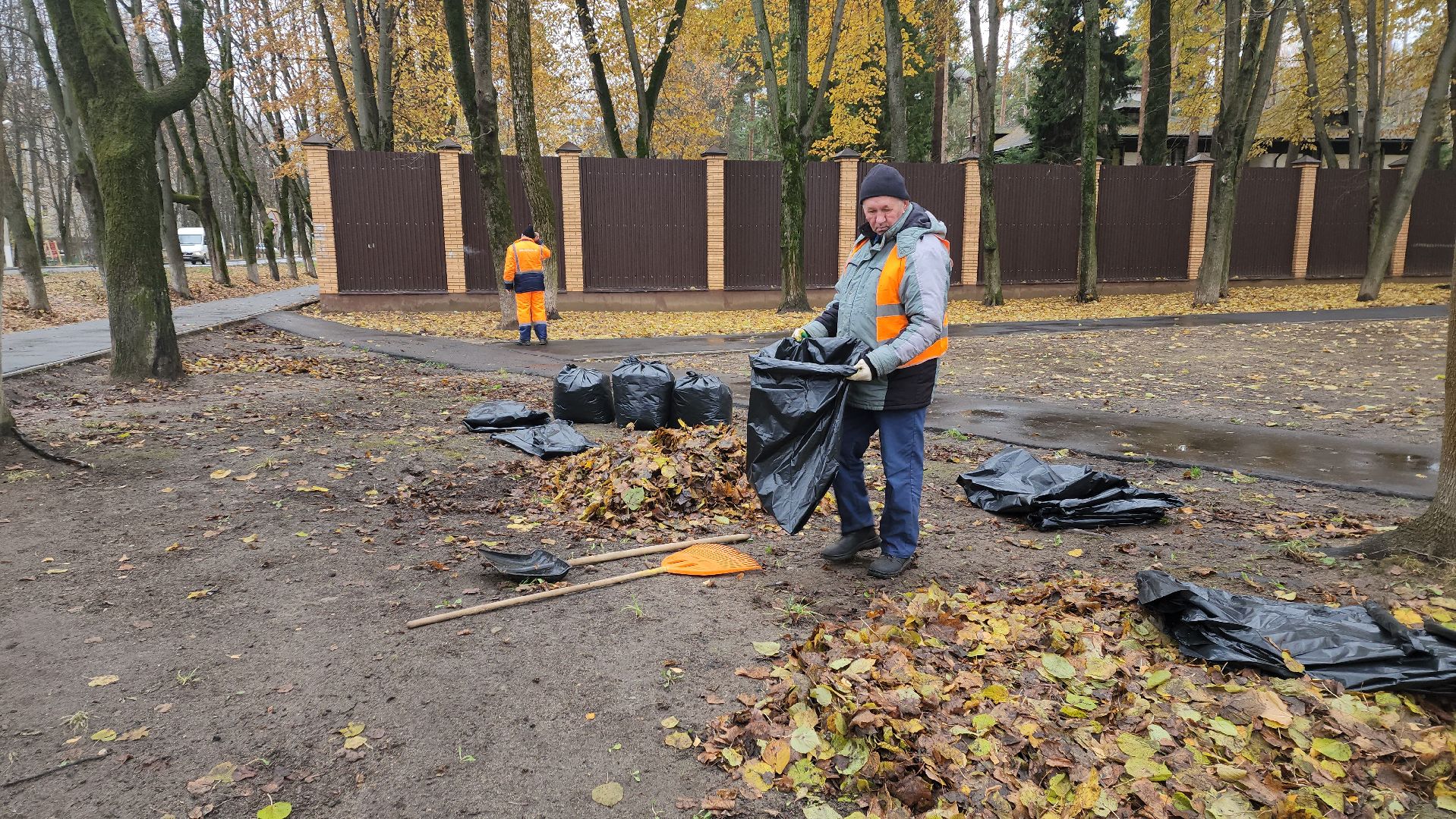 вертикалки, пушкино, благоустройство, листва, уборка дворов осенью, уборка общественных территорий, памятник, сквер,