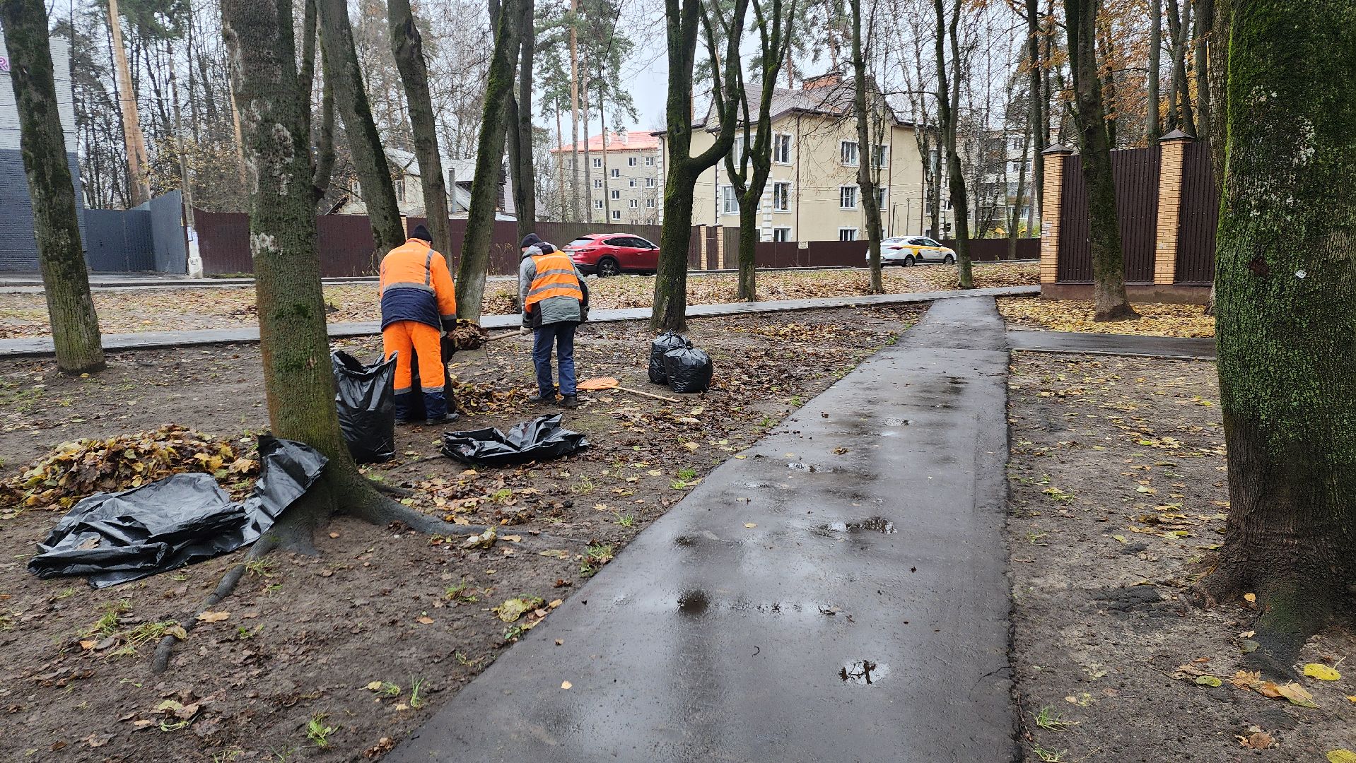 вертикалки, пушкино, благоустройство, листва, уборка дворов осенью, уборка общественных территорий, памятник, сквер,