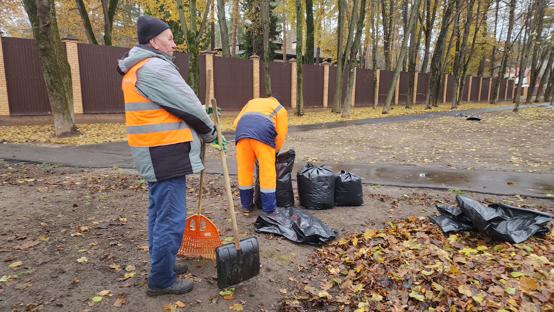 вертикалки, пушкино, благоустройство, листва, уборка дворов осенью, уборка общественных территорий, памятник, сквер,