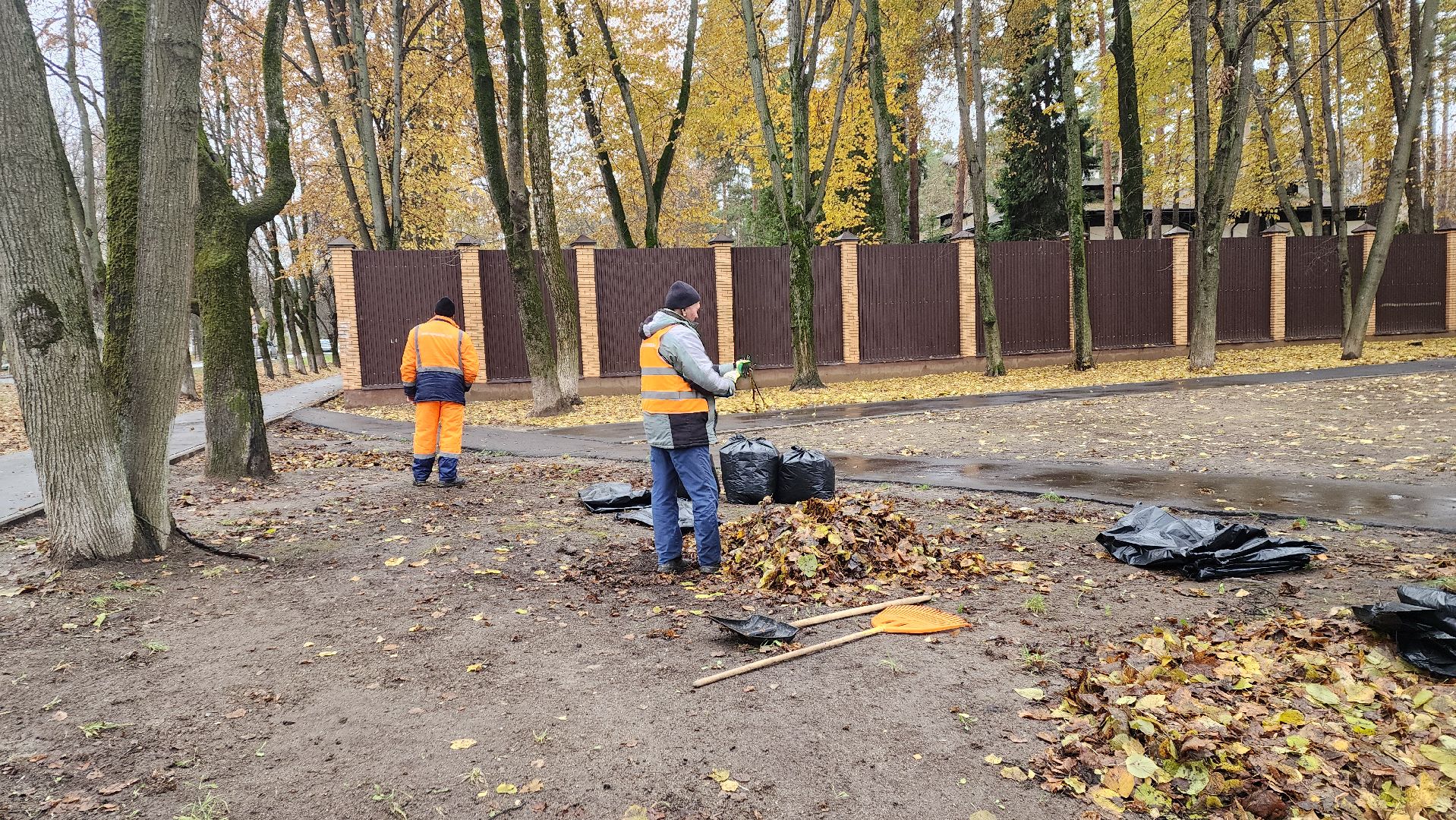 вертикалки, пушкино, благоустройство, листва, уборка дворов осенью, уборка общественных территорий, памятник, сквер,