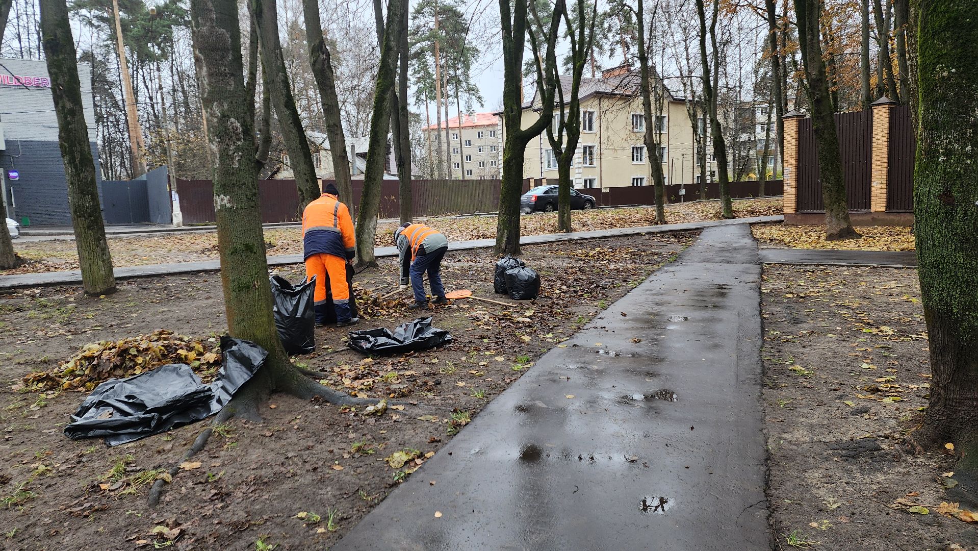 вертикалки, пушкино, благоустройство, листва, уборка дворов осенью, уборка общественных территорий, памятник, сквер,