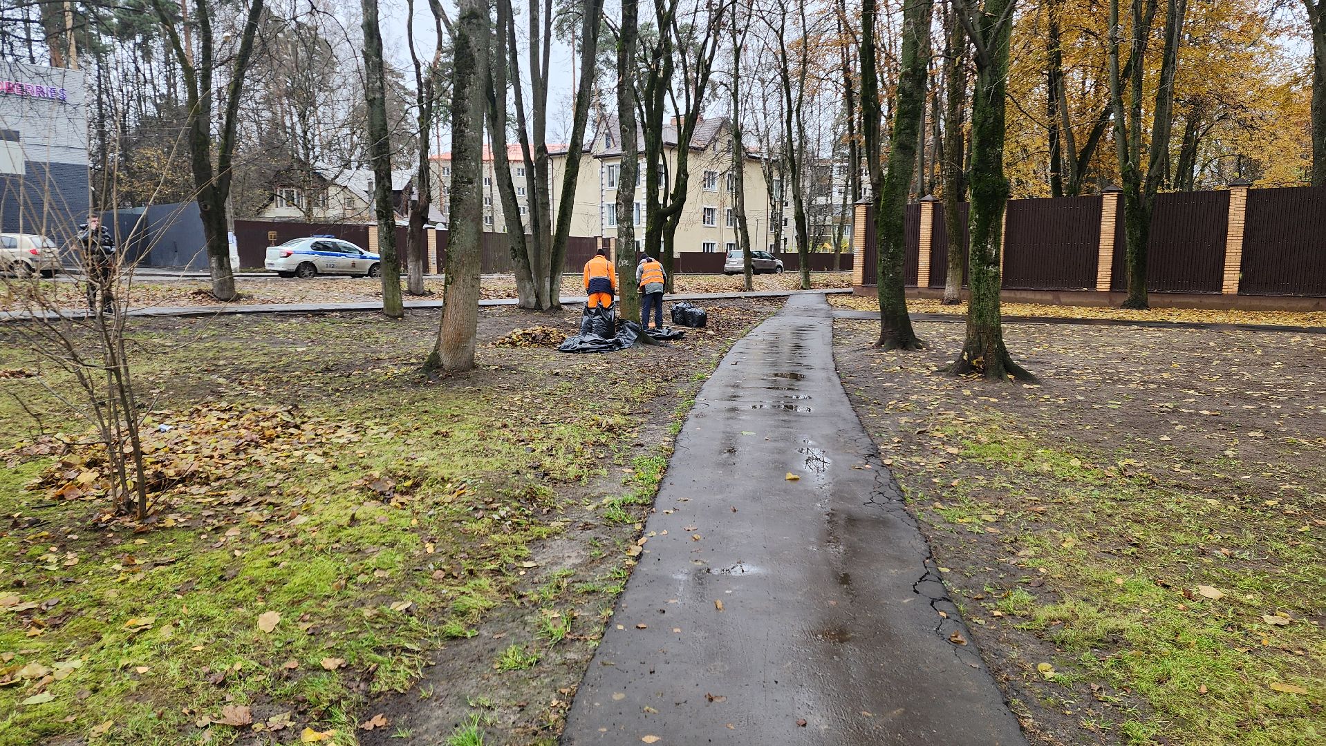 вертикалки, пушкино, благоустройство, листва, уборка дворов осенью, уборка общественных территорий, памятник, сквер,