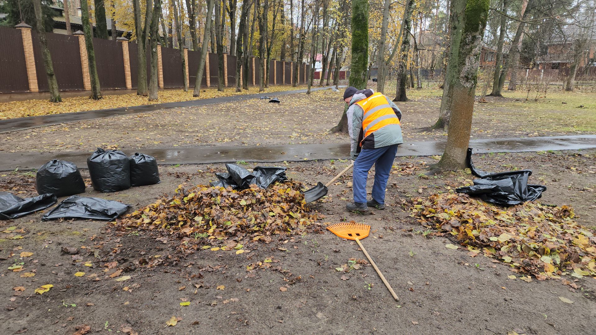 вертикалки, пушкино, благоустройство, листва, уборка дворов осенью, уборка общественных территорий, памятник, сквер,