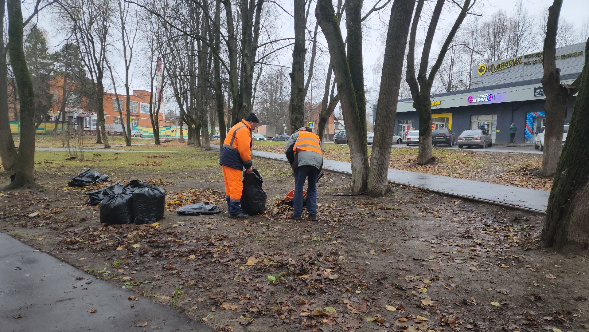 вертикалки, пушкино, благоустройство, листва, уборка дворов осенью, уборка общественных территорий, памятник, сквер,