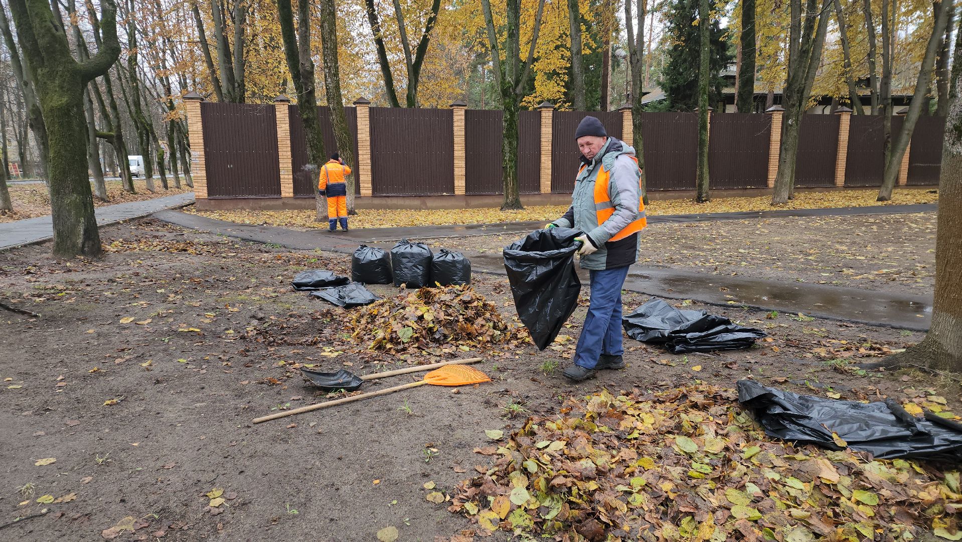 вертикалки, пушкино, благоустройство, листва, уборка дворов осенью, уборка общественных территорий, памятник, сквер,