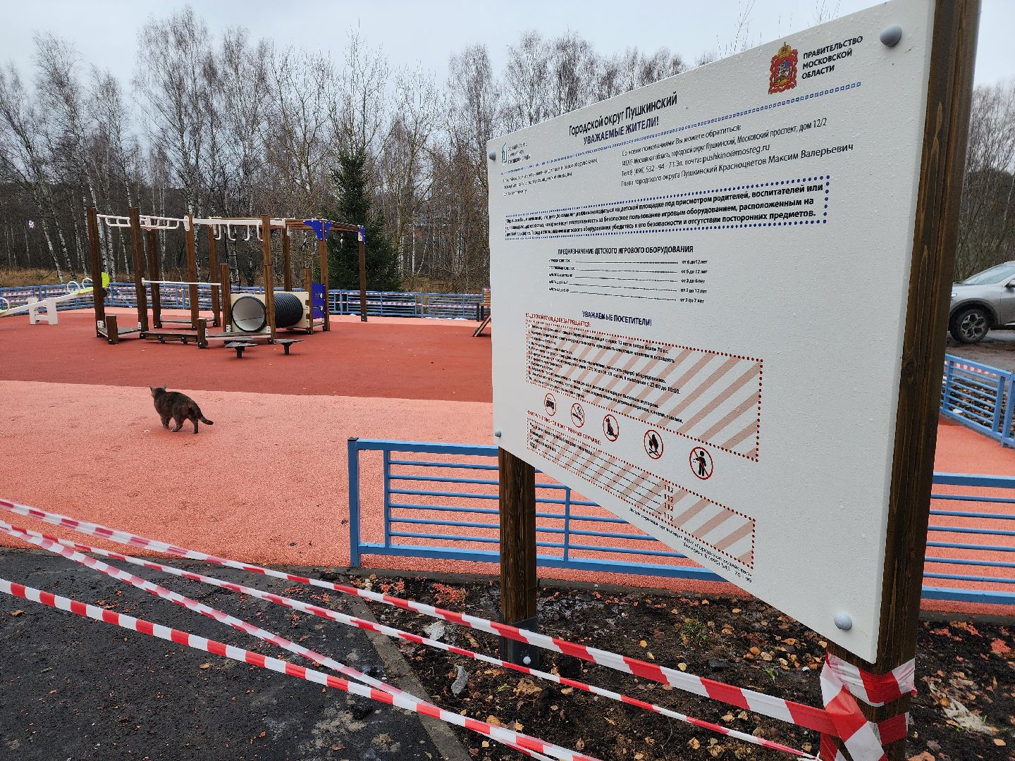 красноармейск, городской округ пушкинский, благоустойство, вертикалки,