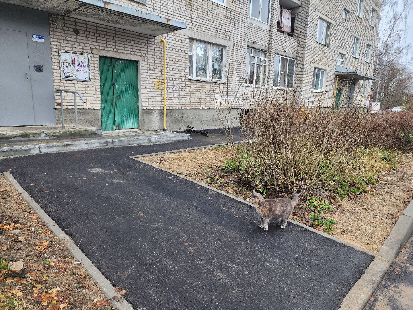 красноармейск, городской округ пушкинский, благоустойство, вертикалки,