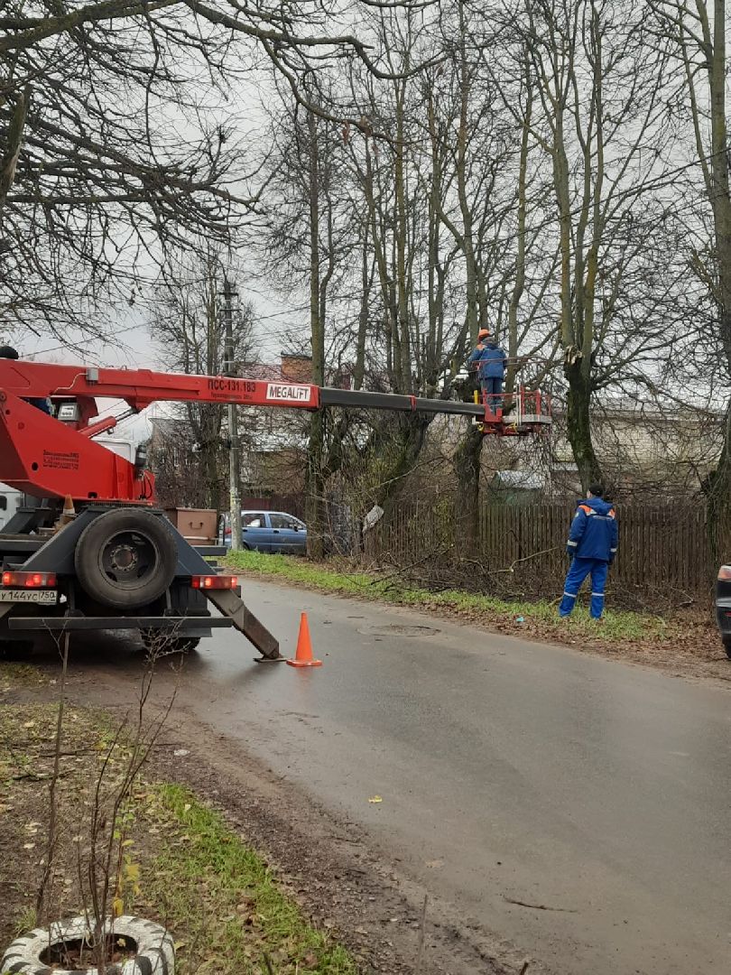 Ветки, Деревья, Истра, спиливание веток, вертикалки,
