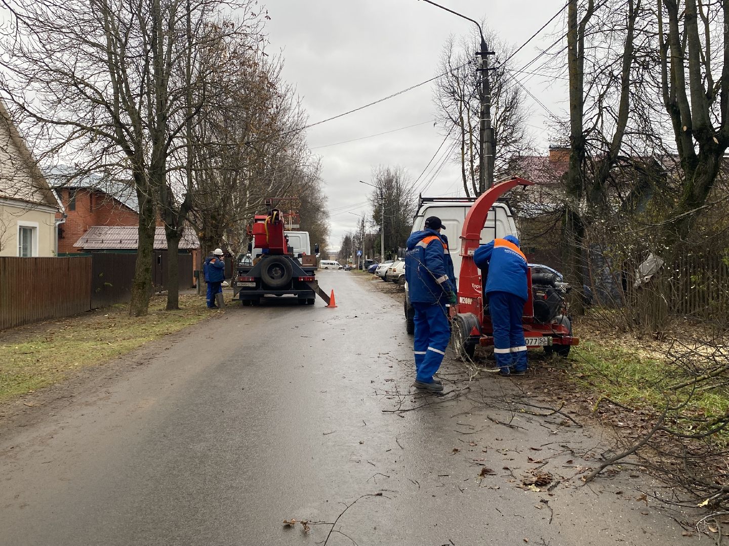 Ветки, Деревья, Истра, спиливание веток, вертикалки,