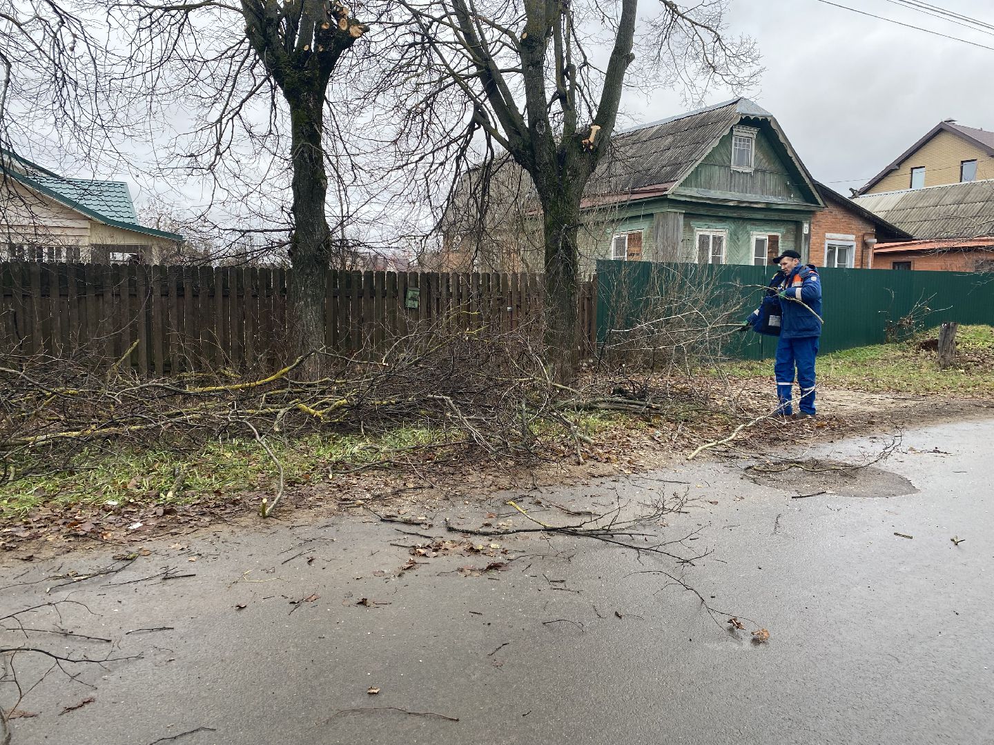 Ветки, Деревья, Истра, спиливание веток, вертикалки,