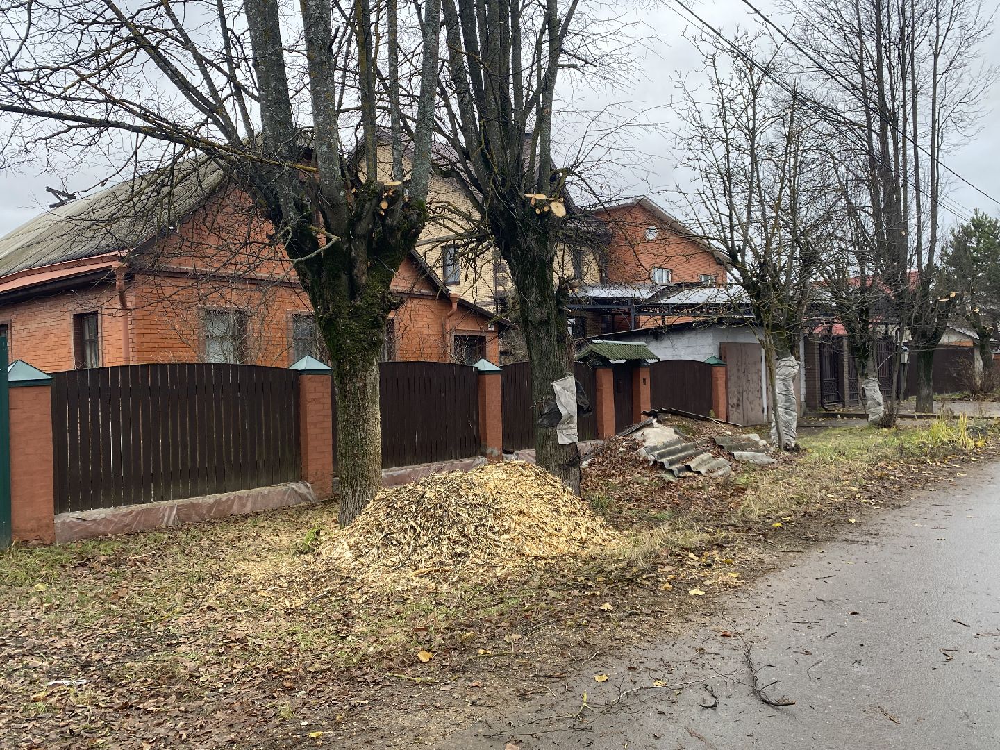 Ветки, Деревья, Истра, спиливание веток, вертикалки,