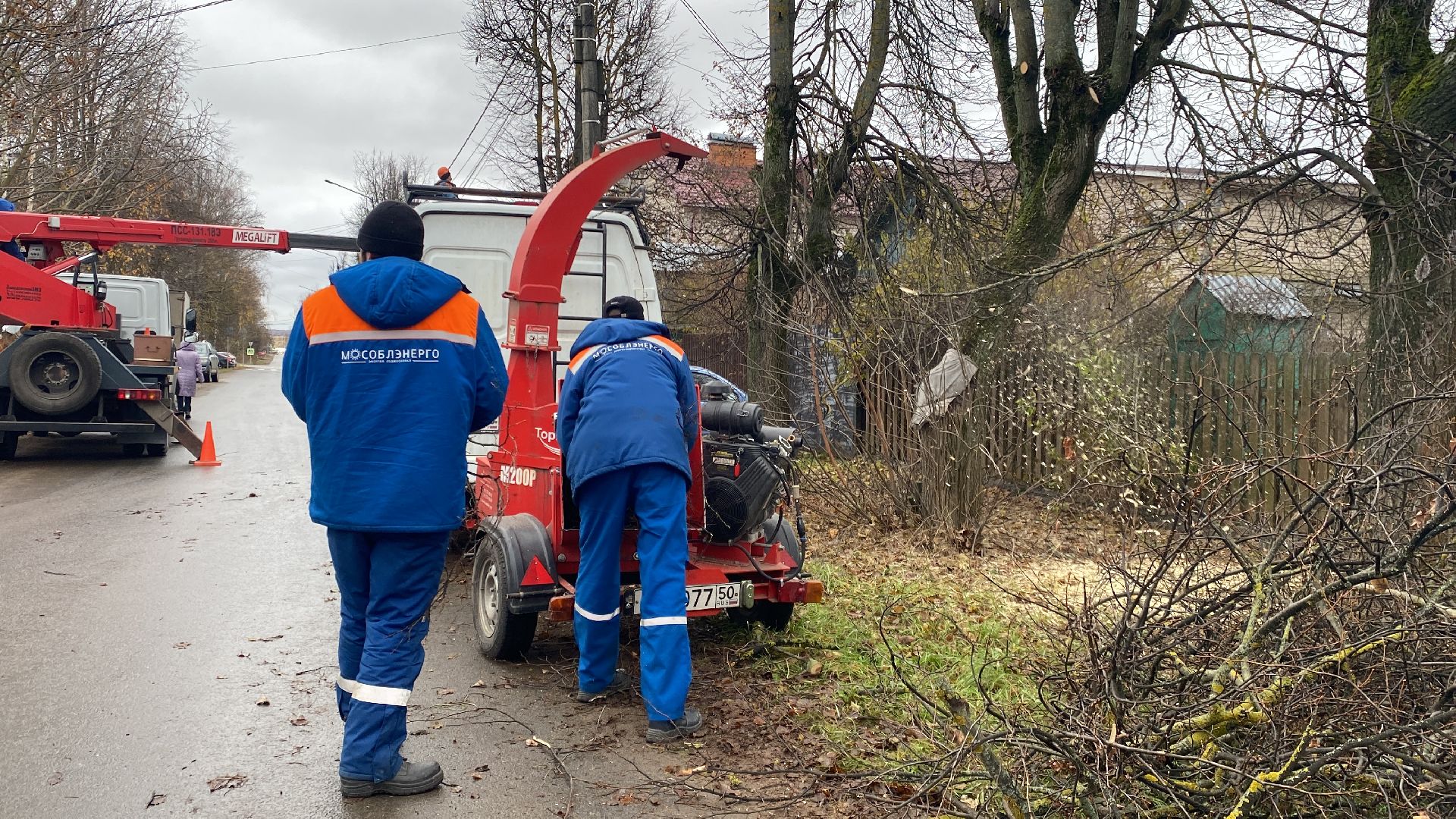 Ветки, Деревья, Истра, спиливание веток, вертикалки,