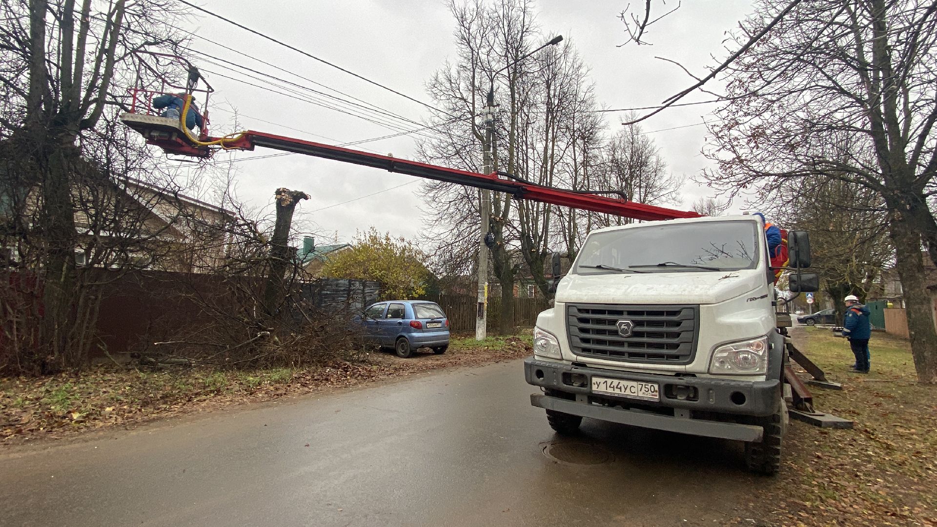 Ветки, Деревья, Истра, спиливание веток, вертикалки,