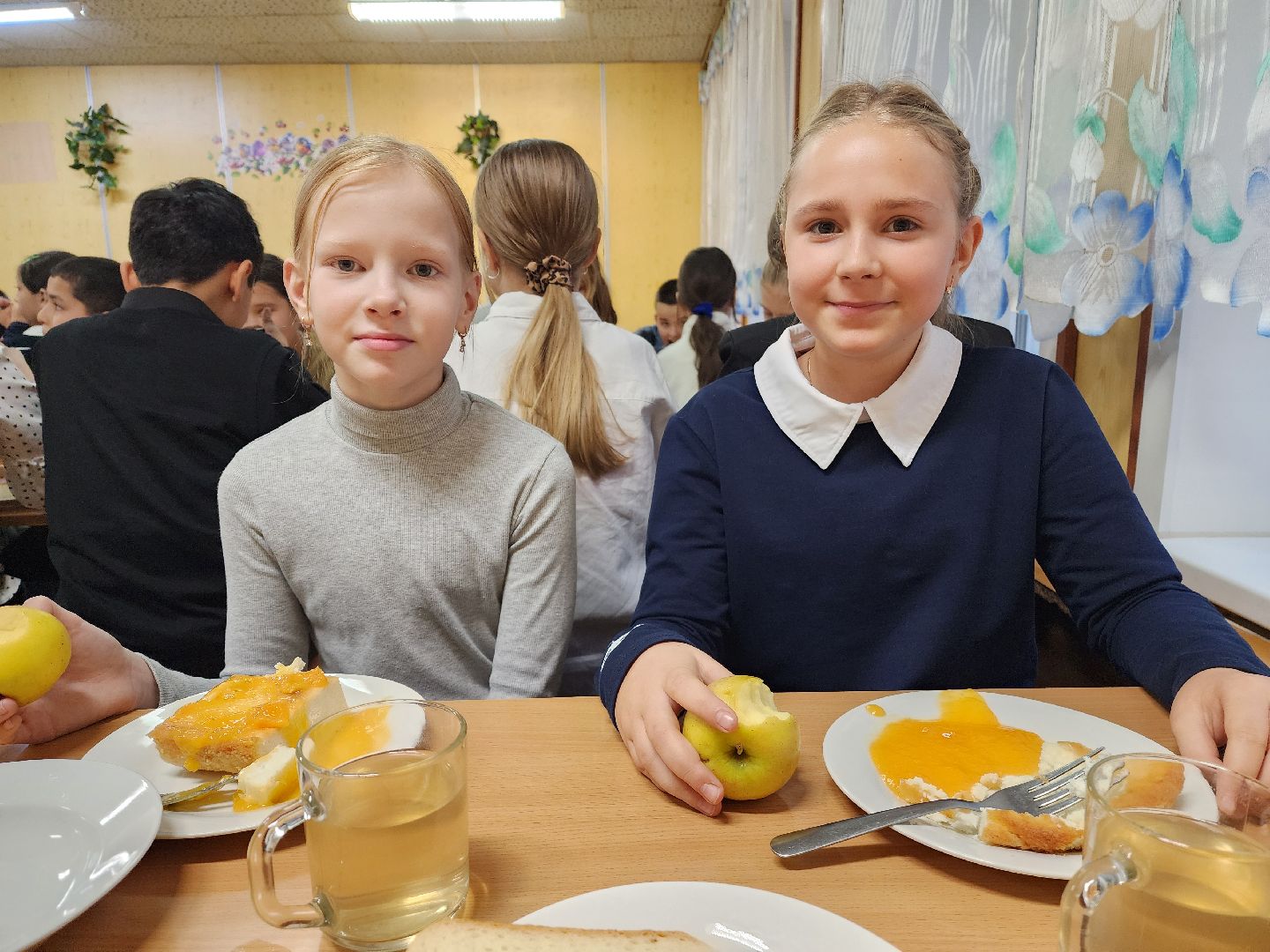 вертикалки, красноармейск, городской округ пушкинский, образование, школьное питание,