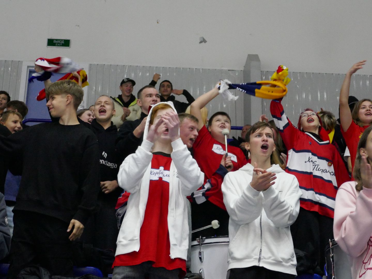 Подольск, Спорт, Хоккей, Витязь, Хорс подольск,