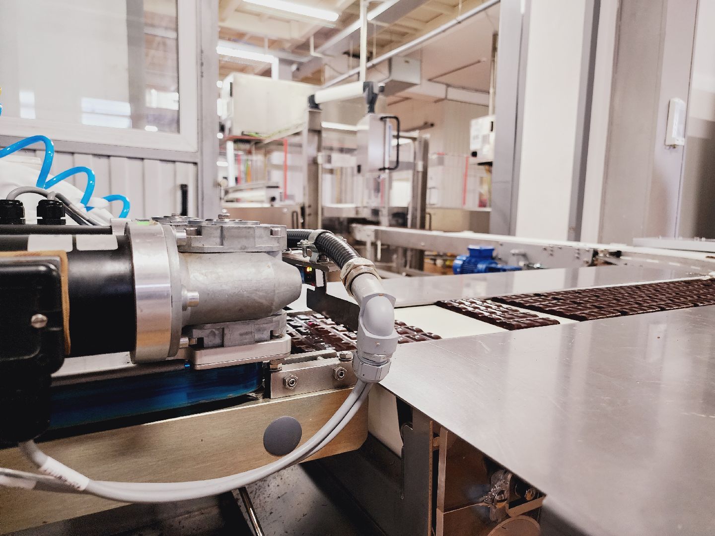 Егорьевск, импортозамещение, кондитерская фабрика, шоколадные массы, бизнес, Подмосковье, Московская область,