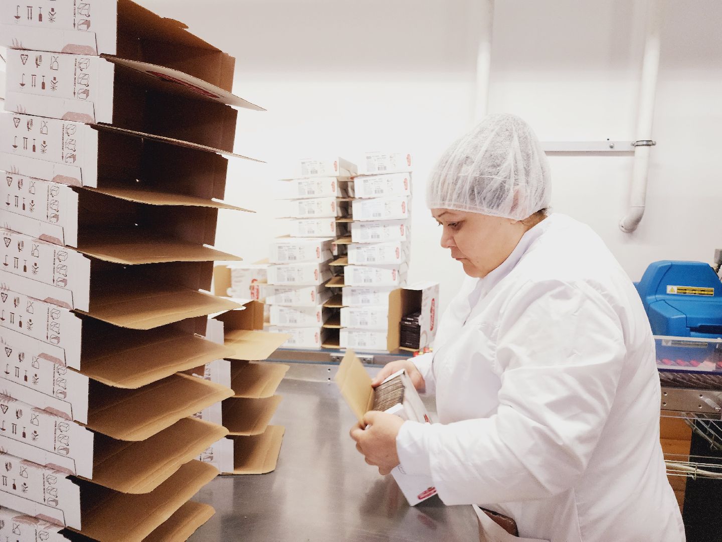 Егорьевск, импортозамещение, кондитерская фабрика, шоколадные массы, бизнес, Подмосковье, Московская область,