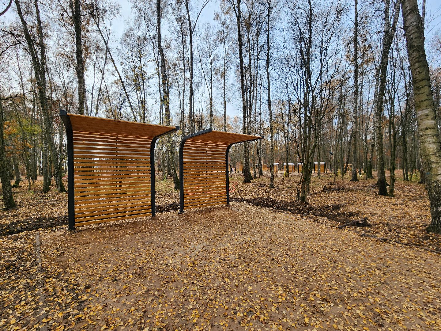 Чехов, микрорайон Губернский, лесопарк, лесопарковая зона отдыха, строительство, благоустройство, детские площадки, спортивные площадки, зоны отдыха, региональная программа Парки в лесу, вертикалки,