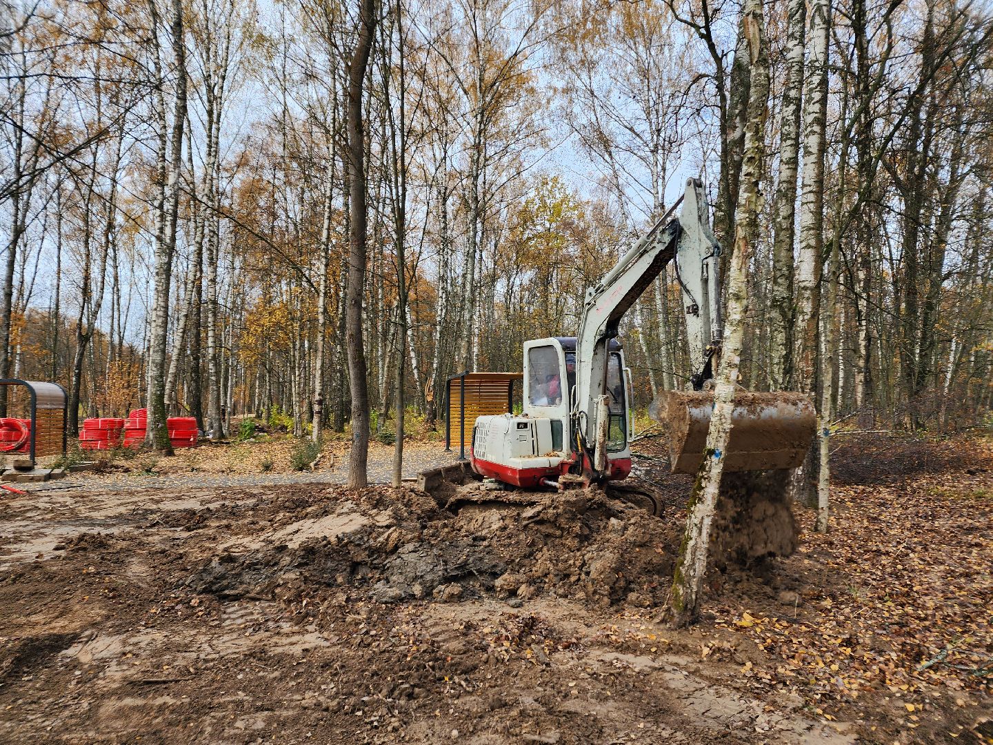 Чехов, микрорайон Губернский, лесопарк, лесопарковая зона отдыха, строительство, благоустройство, детские площадки, спортивные площадки, зоны отдыха, региональная программа Парки в лесу, вертикалки,