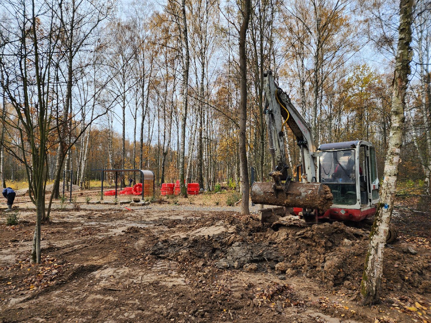 Чехов, микрорайон Губернский, лесопарк, лесопарковая зона отдыха, строительство, благоустройство, детские площадки, спортивные площадки, зоны отдыха, региональная программа Парки в лесу, вертикалки,