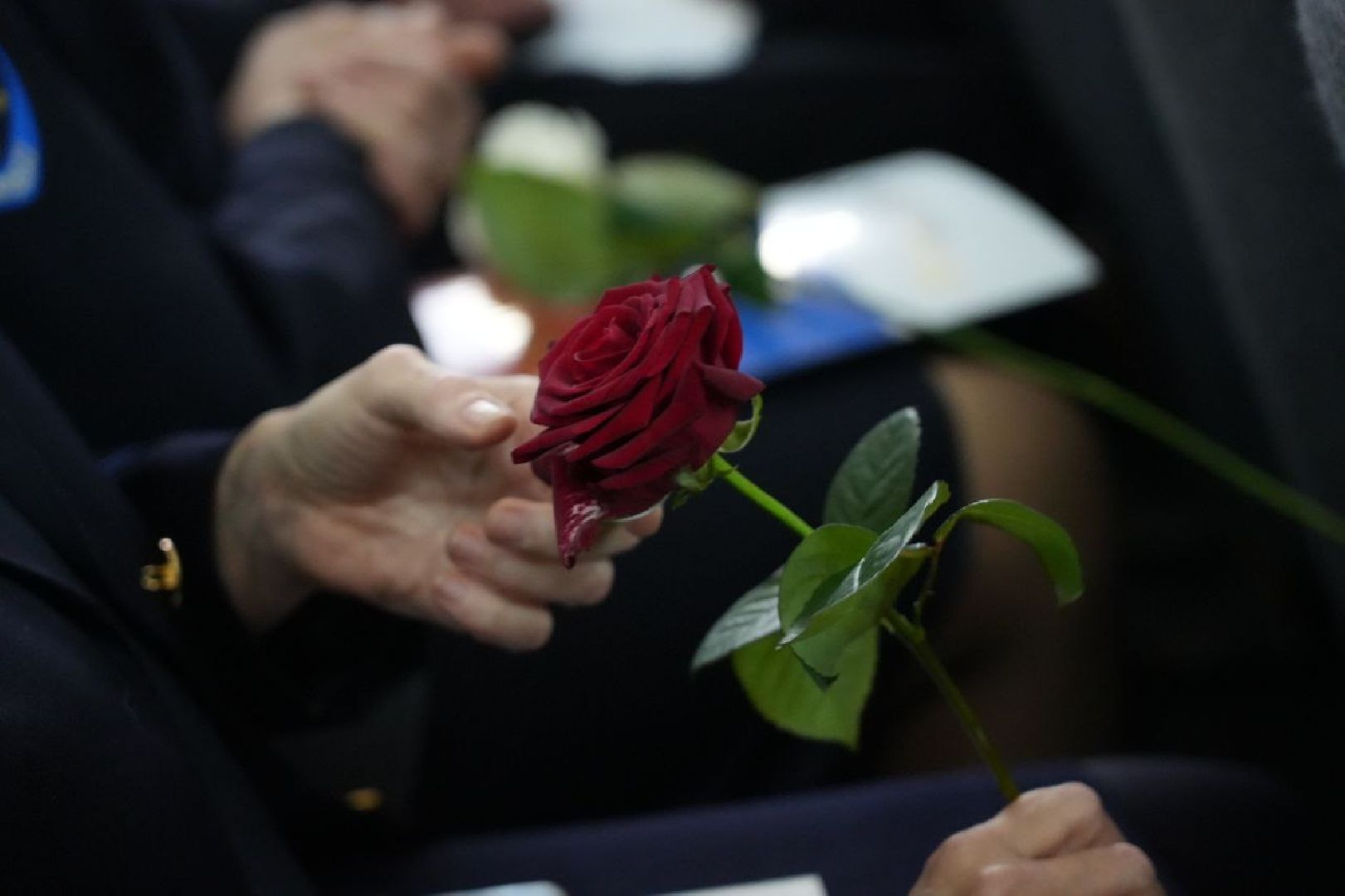 День полиции, Сергиево-Посадский городской округ, Профессиональный праздник, Сергиев Посад, Праздник, Полиция