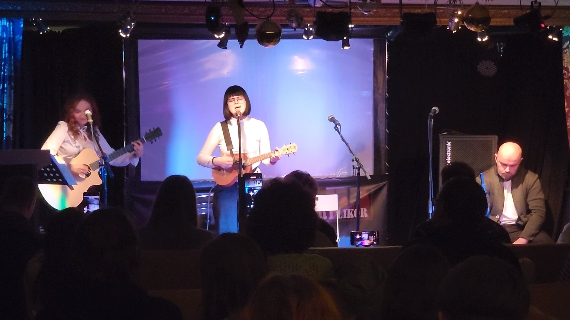 вертикалки, пушкино,