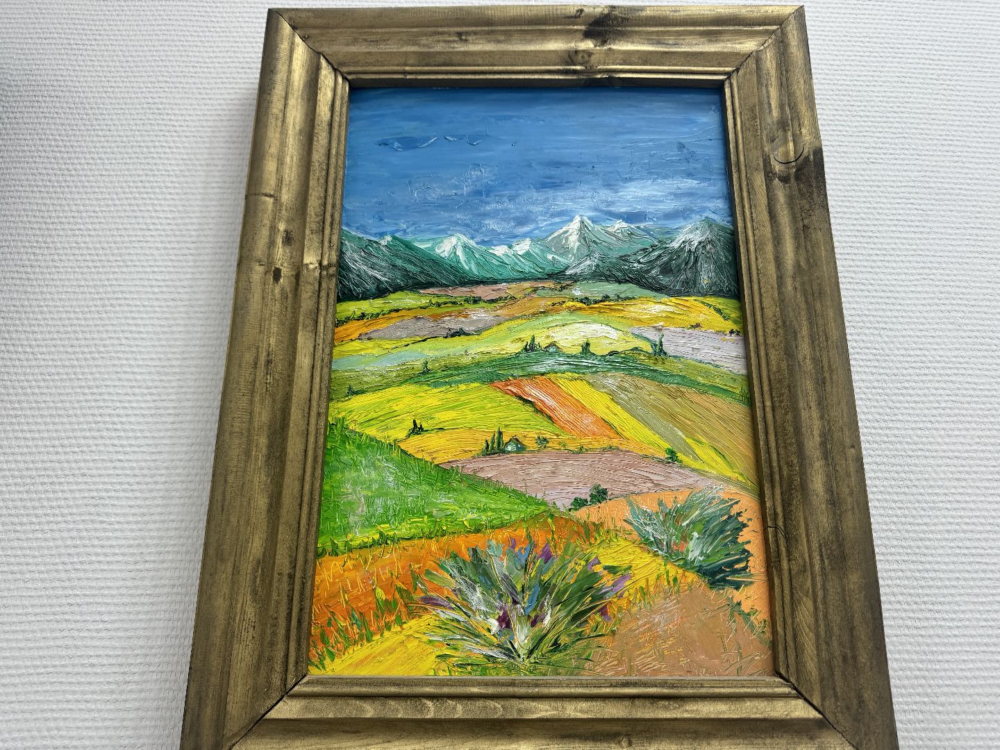 шаховская, новая выставка, художественная выставка,музей,