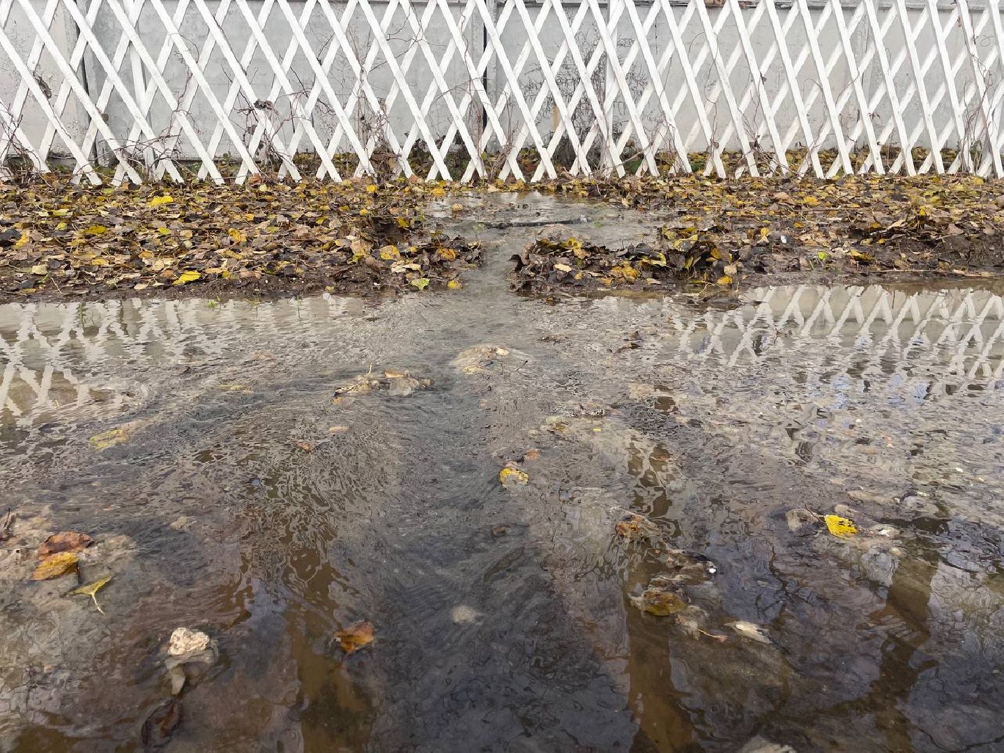 Дмитров, ЖКХ, Инженерный пруд, вертикалки,