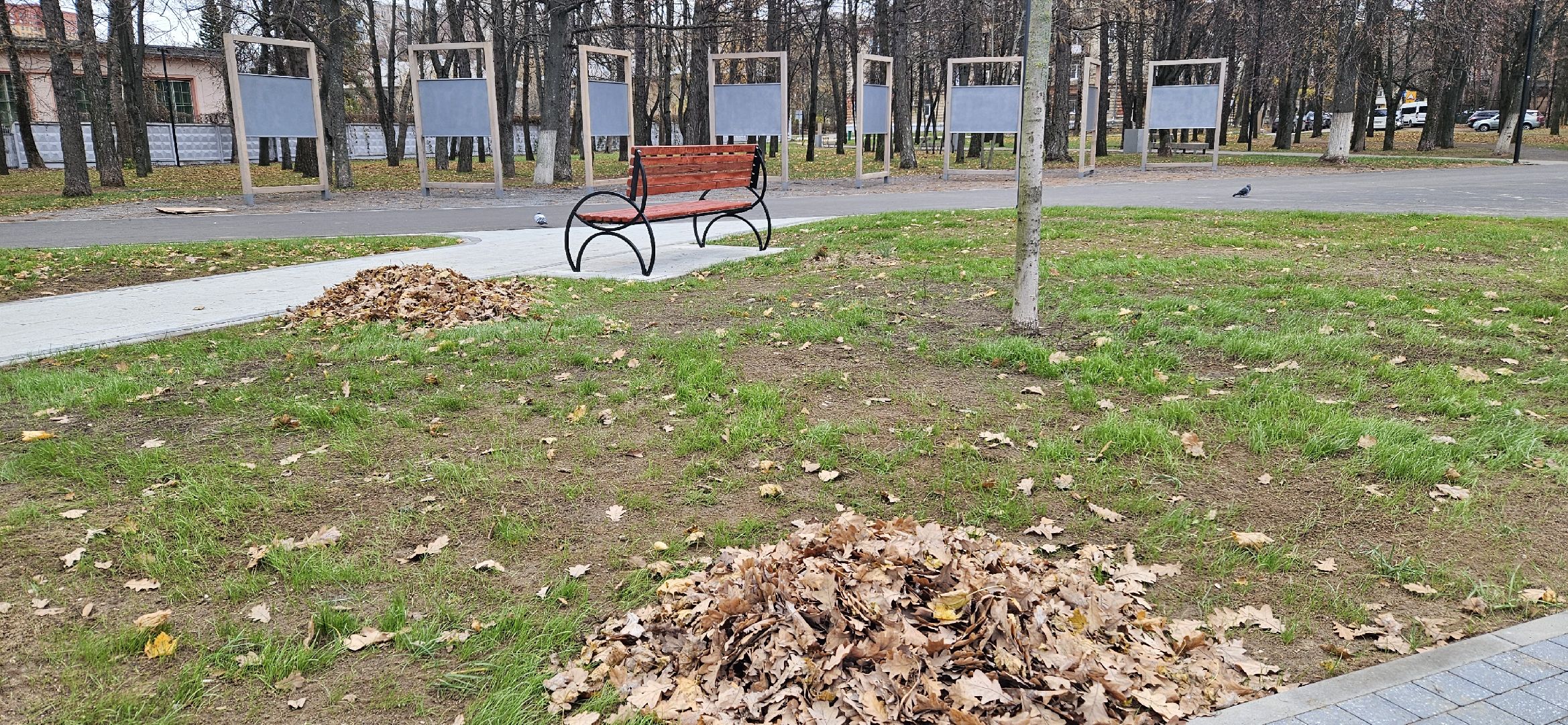 вечный огонь, сквер, Жуковский, уборка, вертикалки,