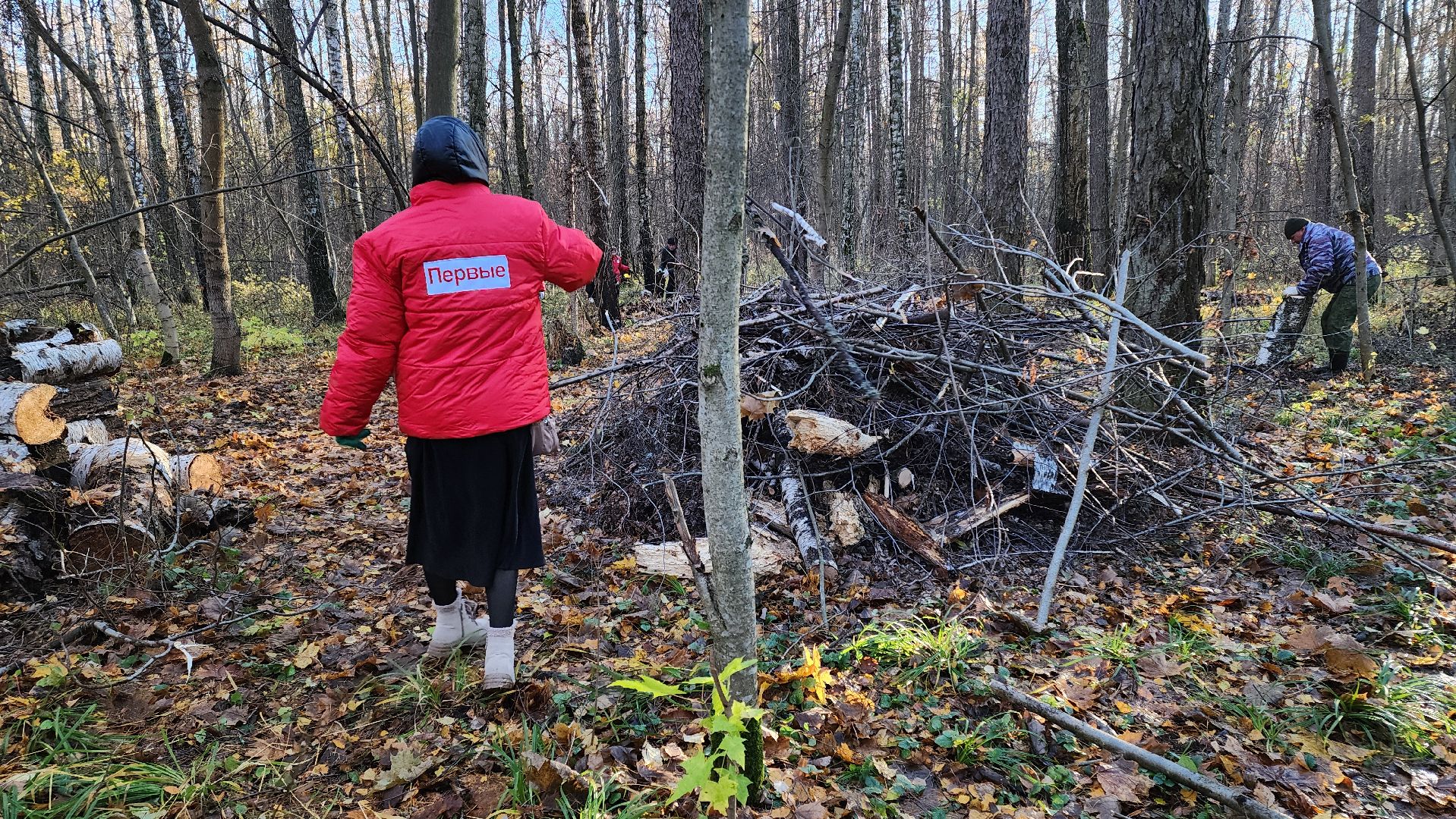 кашира, субботник, чистый лес, благоустройство, вертикалки,