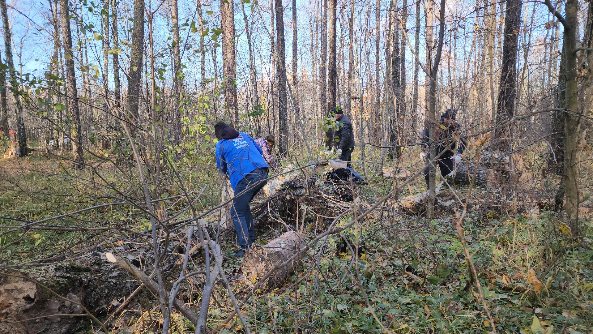 кашира, субботник, чистый лес, благоустройство, вертикалки,