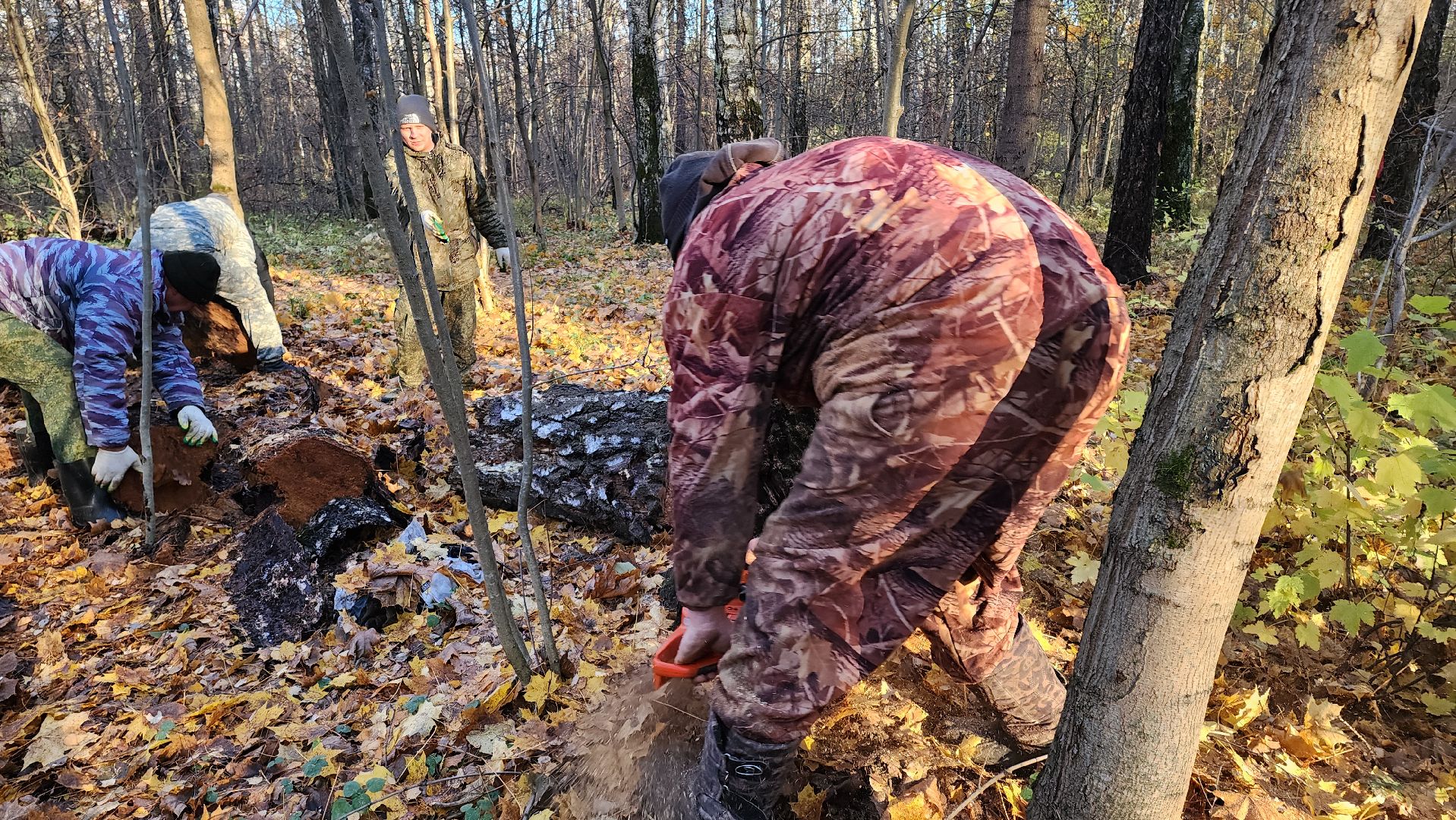 кашира, субботник, чистый лес, благоустройство, вертикалки,